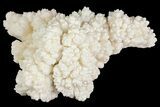 Cave Calcite (Aragonite) Formation - Fluorescent #182353-1